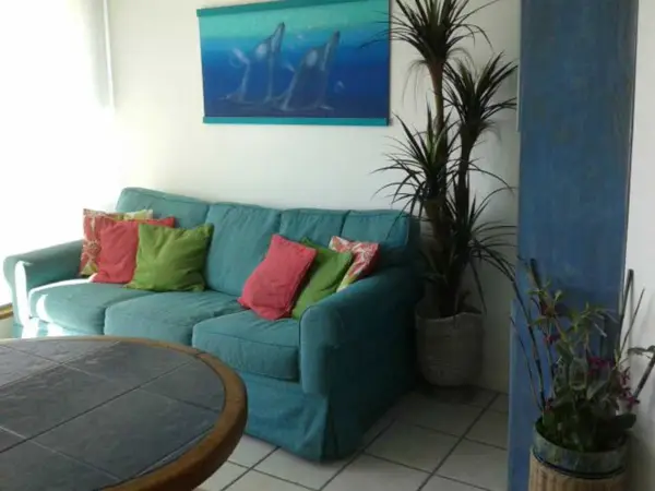 Gallery 2
